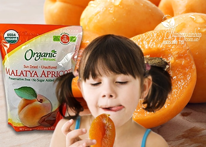 Mơ sấy khô Organic Malatya Apricots của Mỹ