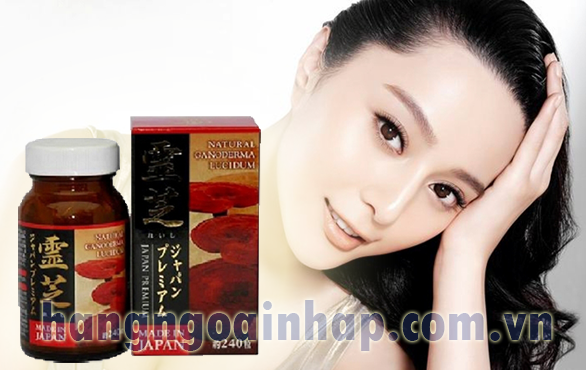 Nấm linh chi đỏ kết hợp Đông trùng hạ thảo của Nhật