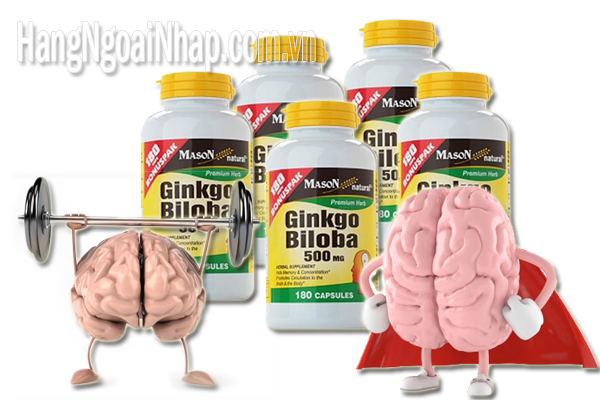 Viên Uống Bổ Não Hổ Trợ Trí Nhớ Ginkgo Biloba 500mg Của Mỹ Hộp 180 Viên