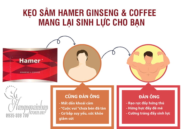 Kẹo sâm Hamer Ginseng & Coffee hộp 32 viên, hàng chính hãng 8