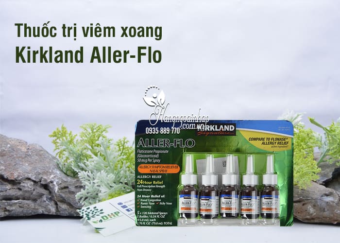 Thuốc trị viêm xoang Kirkland Aller-Flo bộ 5 lọ chính hãng Mỹ 1