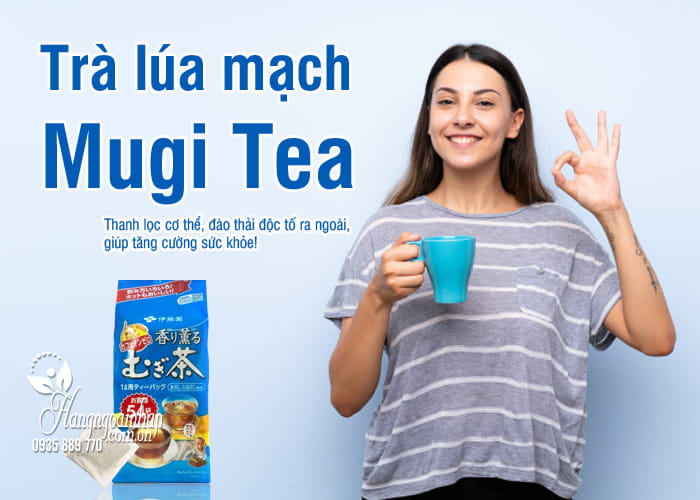  Trà lúa mạch Mugi Tea Nhật Bản 54 gói cho mọi lứa tuổi