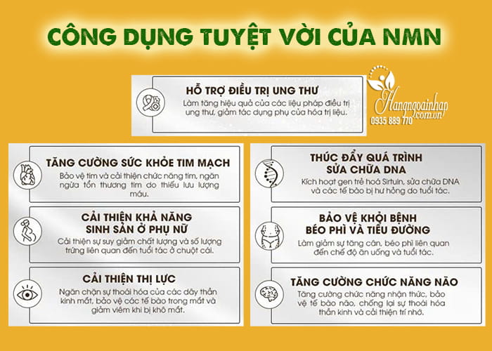 5 cách làm tăng mức NMN trong cơ thể một cách tự nhiên 34