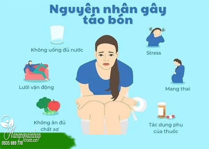 Bị táo bón nên ăn gì để đi vệ sinh dễ dàng? Chuyên gia khuyên 12