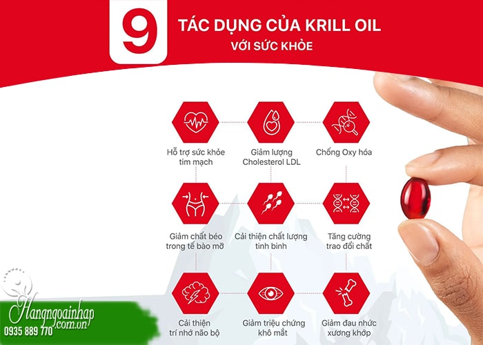 Nên chọn dầu nhuyễn thể Krill Oil hay Fish Oil?  56