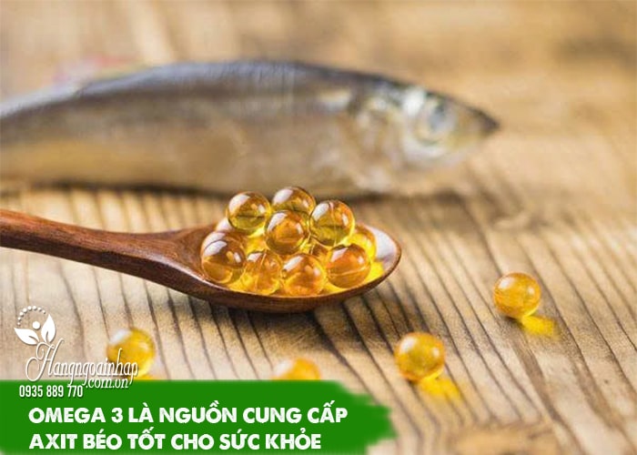 Omega 3 của Nhật loại nào tốt? Đánh giá chi tiết  45