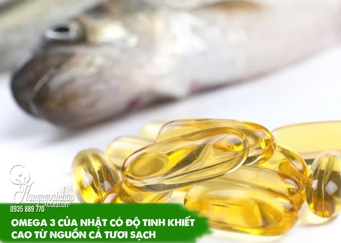 Omega 3 của Nhật loại nào tốt? Đánh giá chi tiết  9