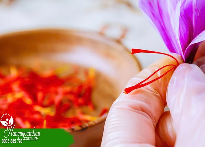 Saffron là gì? Lưu ý quan trọng khi sử dụng saffron 1