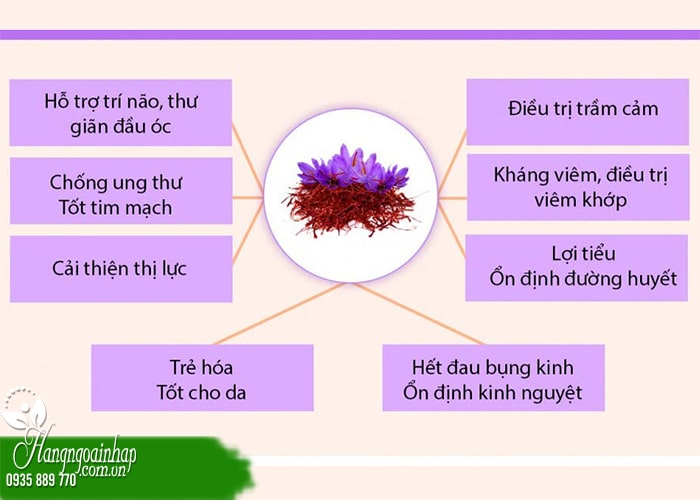 Saffron là gì? Lưu ý quan trọng khi sử dụng saffron 3