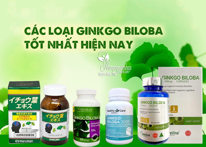 Tác dụng phụ của thuốc bổ não Ginkgo Biloba bạn cần biết 89