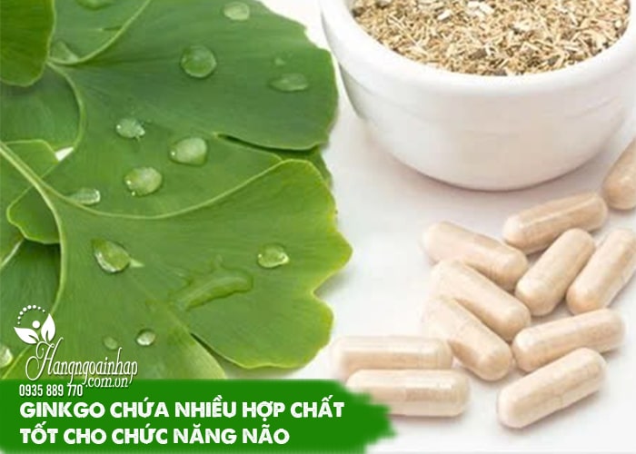 Tác dụng phụ của thuốc bổ não Ginkgo Biloba bạn cần biết 1