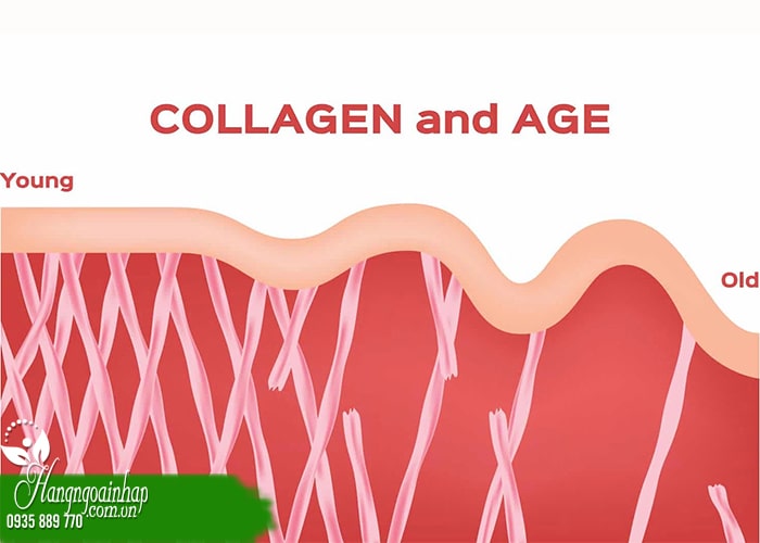 Tác dụng phụ khi dùng collagen, hãy đọc trước khi bổ sung 34