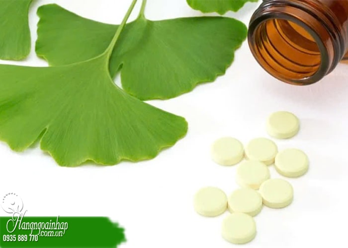 Thuốc bổ não Ginkgo Biloba loại nào tốt nhất hiện nay  45