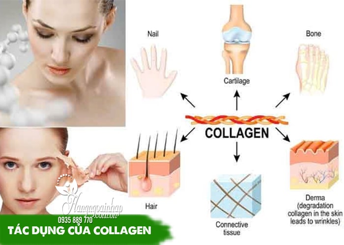 Top 3 collagen nước của Mỹ đáng mua nhất  6