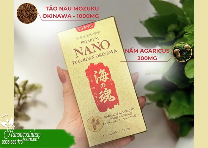  Top 5 loại Fucoidan tốt nhất hiện nay 4