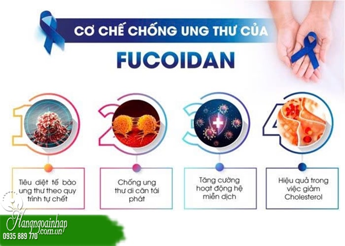 Uống Fucoidan bao lâu thì ngưng? Chuyên gia giải đáp 6