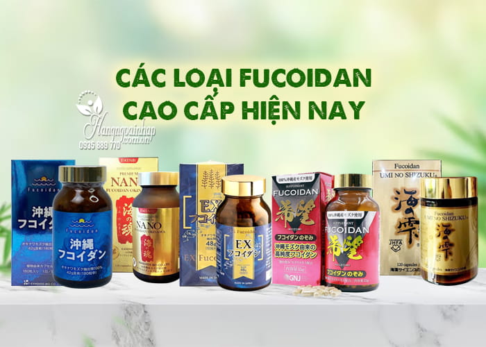 Uống Fucoidan bao lâu thì ngưng? Chuyên gia giải đáp 56