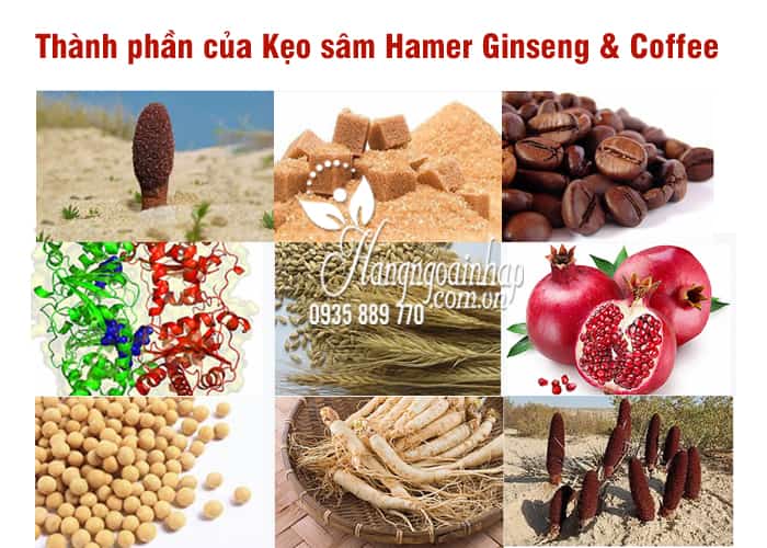 Kẹo sâm Hamer Ginseng & Coffee chính hãng Malaysia Hộp 30 cái 3