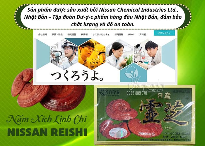 Nấm linh chi Nissan Reishi nội địa Nhật Bản hộp 39g 7