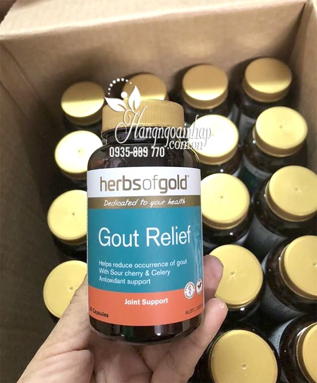 Viên uống hỗ trợ trị bệnh Gút Gout Relief Herbs Of Gold Úc 9