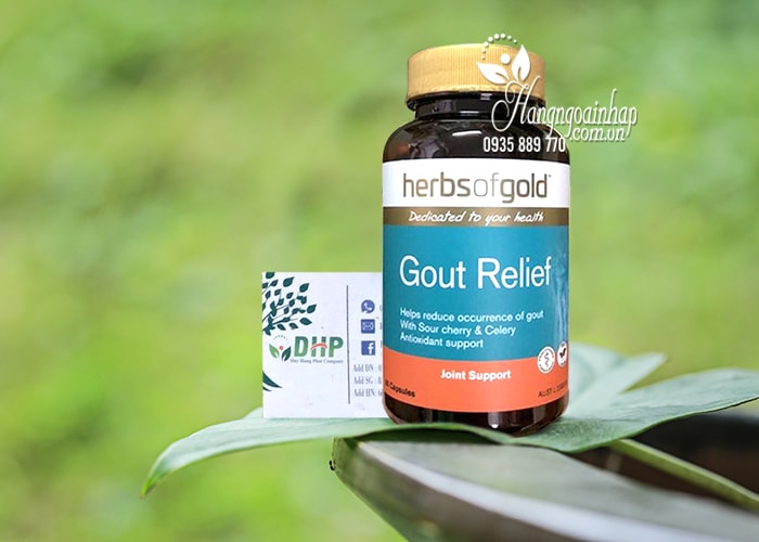 Viên uống hỗ trợ trị bệnh Gút Gout Relief Herbs Of Gold Úc 2