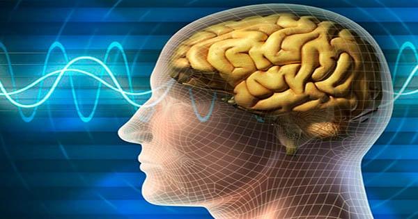 Ginkgo thuốc bổ não có hỗ trợ tăng cường trí nhớ không?
