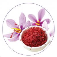 Nhụy hoa nghệ tây Saffron Badiee - Vàng đỏ của Ira...