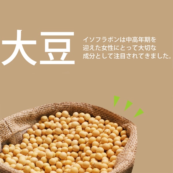 Tinh chất mầm đậu nành DHC Nhật Bản 20 ngày 40 viên, giá tốt