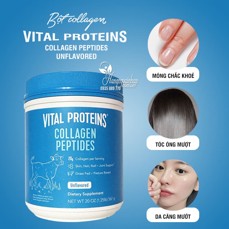 Phân Loại Các Loại Bột Collagen Peptide