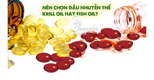 Nên chọn dầu nhuyễn thể Krill Oil hay Fish Oil? 
