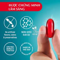 Dầu nhuyễn thể Kori Pure Antarctic Krill Oil Omega 3 800mg