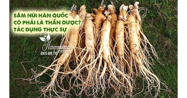 Sâm núi Hàn Quốc có phải là thần dược? Tác dụng thực sự