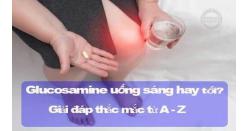 Glucosamine uống sáng hay tối? Glucosamine uống bao lâu thì ngừng?