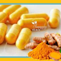 Tinh Chất Nghệ Vàng Curcumin Puritan Pride 180 Viên Của Mỹ