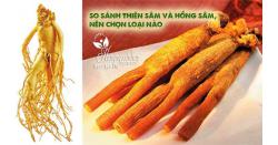 So sánh Thiên sâm và Hồng sâm, nên chọn loại nào? 