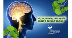 Tác dụng phụ của thuốc bổ não Ginkgo Biloba bạn cần biết