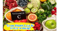 XEM NGAY Top 9 Vitamin C của Úc loại nào tốt nhất? [Tại Đây]