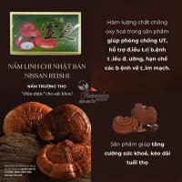 Nấm linh chi Nissan Reishi nội địa Nhật Bản hộp 39g