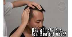 Dầu gội phủ bạc loại nào tốt nhất? Khám phá ngay Top 3 